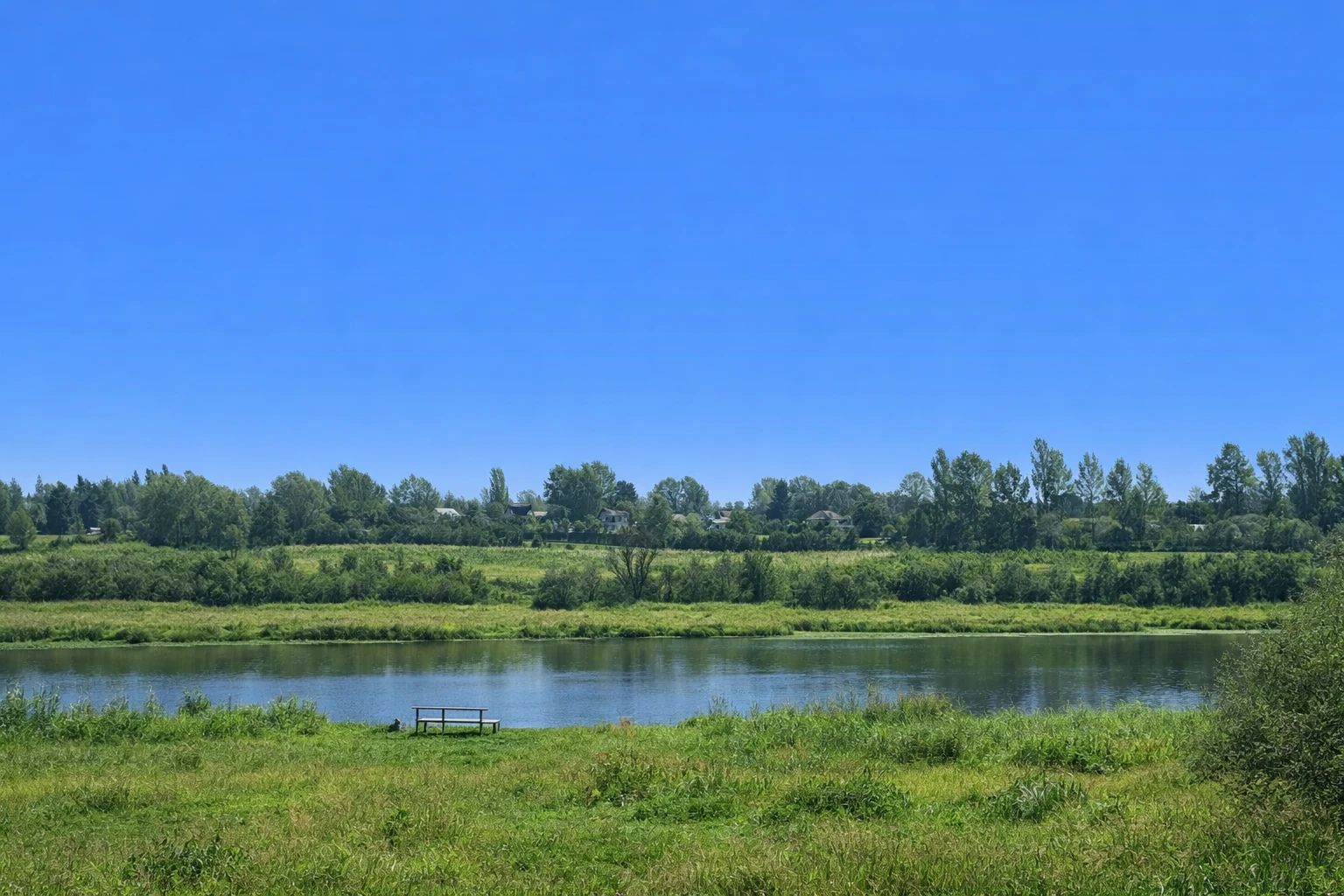 Река, луг и скамейка на берегу летом